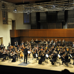 DSC7620.jpg