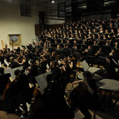 _DSC9153.jpg