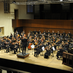_DSC9038net.jpg