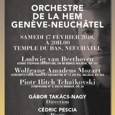AHEMNE_concert2017-2018_concert4_A5_web_light.jpg